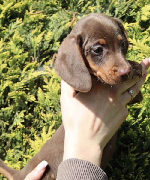 8B82E55C-D11E-46D6-B900-55183B978B66