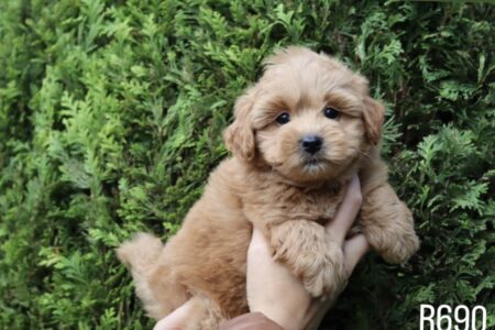 8BF2AEF3-2944-413A-9237-FB76CFBDD1C6