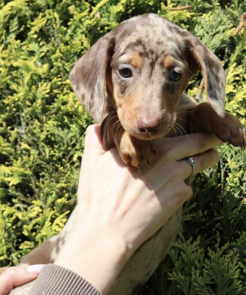 8DDA2C12-ADD4-4BEB-9C8E-9852634C82C9