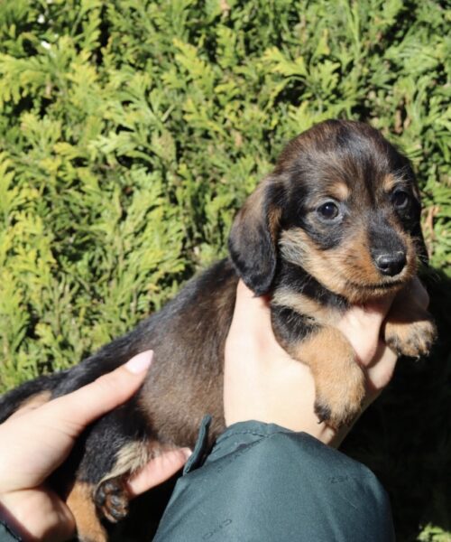 8E5E5E1B-7B47-4DD6-9F72-3C2EB99E6BD0