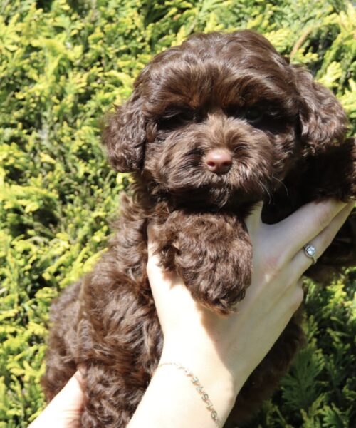 9A3FD990-01E4-4026-B056-87A986F01E56