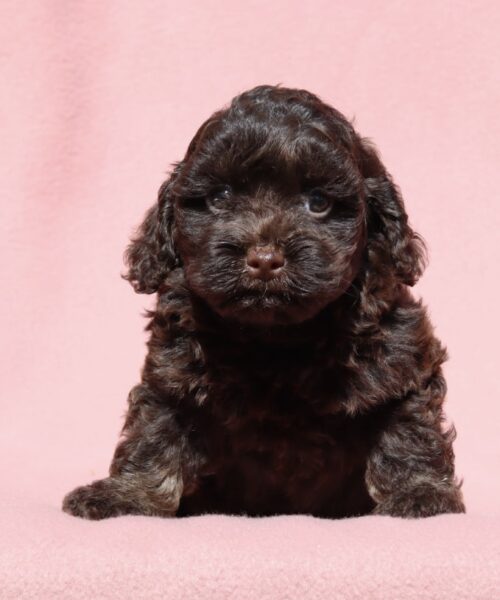 9F4B439E-B8F7-43D7-83A6-FD5A26F84D67