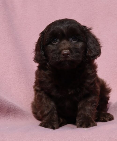 A36D0ED6-1407-4C0A-B416-5A90A0B5CAD9