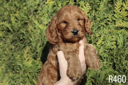 A5628F36-5AA2-4D53-B628-A6179D9B25EB