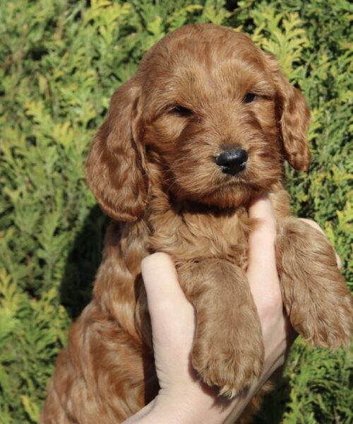 A5628F36-5AA2-4D53-B628-A6179D9B25EB