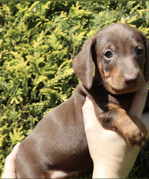 AA3A4C37-3EC4-44DE-B141-CEDB5EBE0EDB