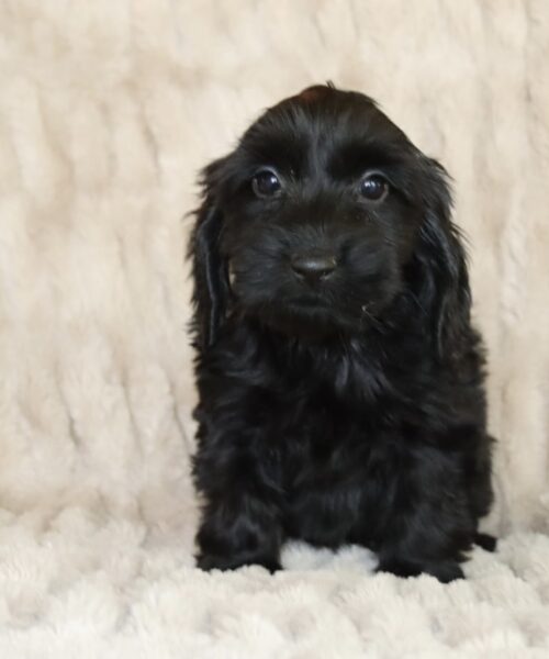 AA8FA14F-053E-4938-8396-1A75D158FA8E