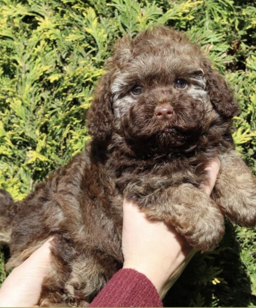 ACFEE00C-6CAB-4210-8786-653F04BEBB43