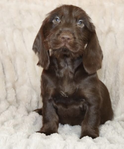 B17981B6-9CB2-40C6-8B85-CF591DC81F37