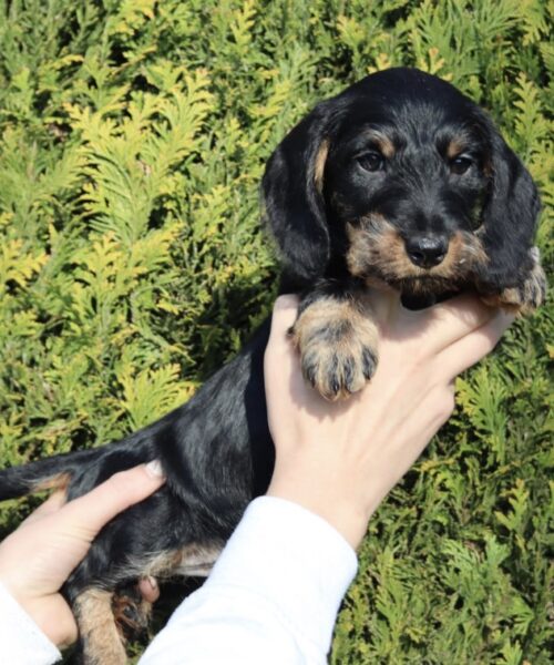 B571E317-AD79-414B-9453-18B70FC9654E