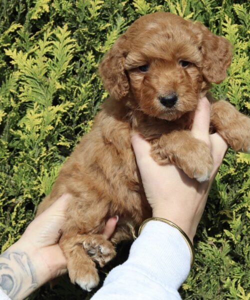 B7CD26DF-75D8-4CA3-993C-2E9E717BC01C