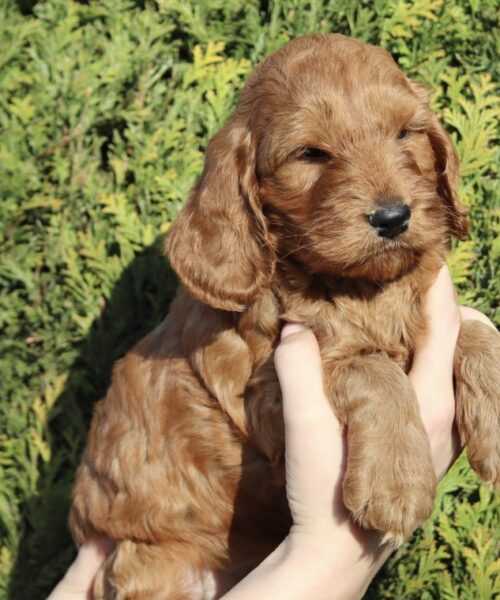 C3255B07-B984-4848-BABC-74D4F05E1F2D