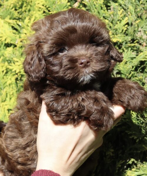 C6E16D05-BA13-40CC-B474-C41915434A0D