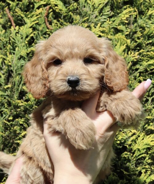 C7F63A90-B9B4-4E77-B642-AF7ECE982664