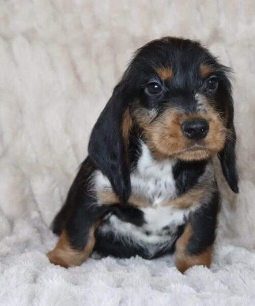 CC31CD6D-CBAB-4F4D-821C-04E4DAFA2E86