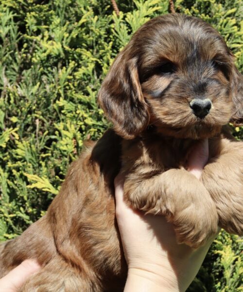 CDF1BCB4-2880-47C7-837F-3979B6B75C39