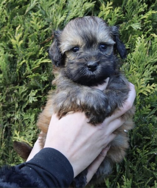 D1E75434-BB8D-486C-BA33-6D7065AEF3E7