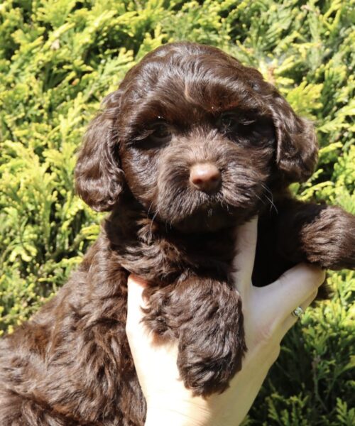 D37B3A04-9FA7-4105-BE8E-22DF3230D1C2