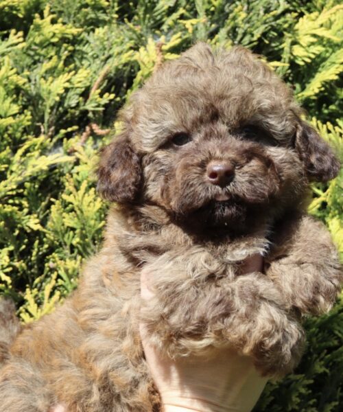 D5BC570D-03AE-44C5-AD10-199B23129D58