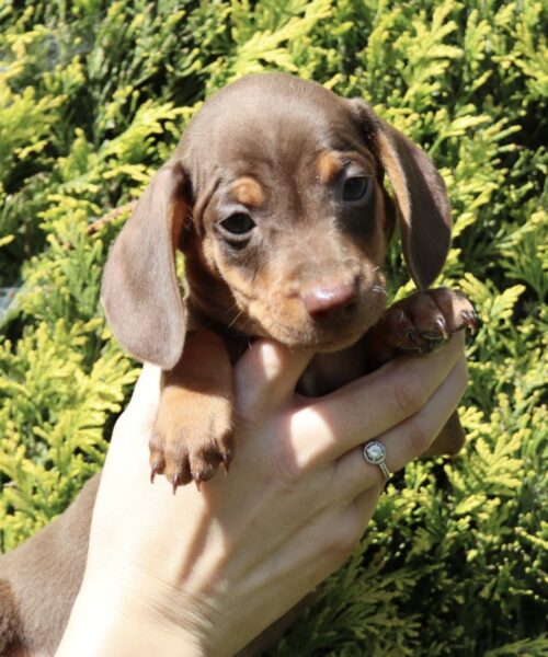 DA2B6905-AF50-4777-A21B-F432B9A2D87E