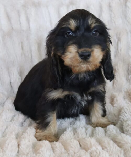 DC3C991B-38A2-47C8-9860-7A372D88ADEE