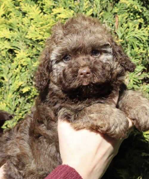 DD82AA48-A695-4C6C-B55A-88C4AC2DEDAF