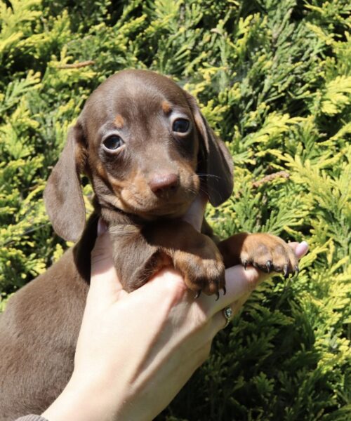 DF63BB24-95D2-40A6-AF53-D7BDDED69A7B