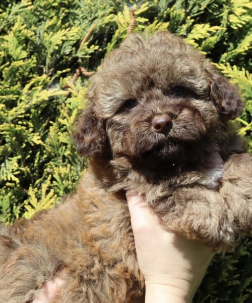 ED30FF11-60D8-4AF4-B2B5-BD309F2CCF72