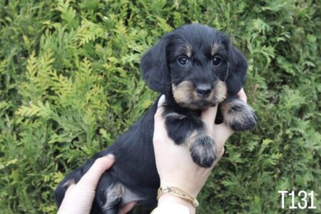 ED36A867-2A32-4BA8-B653-A78F30012694