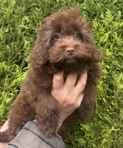 ad32d030-f501-4826-b48f-88856500ee5f