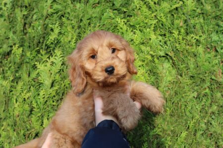 att.6Hay0rw-Jous3sTXUYVK5YQPcPuQpkddf3li-y-ssb8