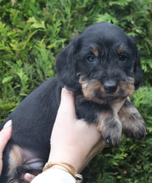 att.FV0NZjQW-stSWgNVz-pTS28Xfk39VDFwedlcv-1z8fo