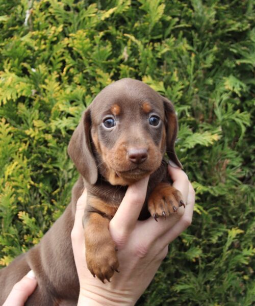 att.MzLJo7m1KRHSJxOhyBrVaHJemizlYYZbD_MS9-8nnxQ