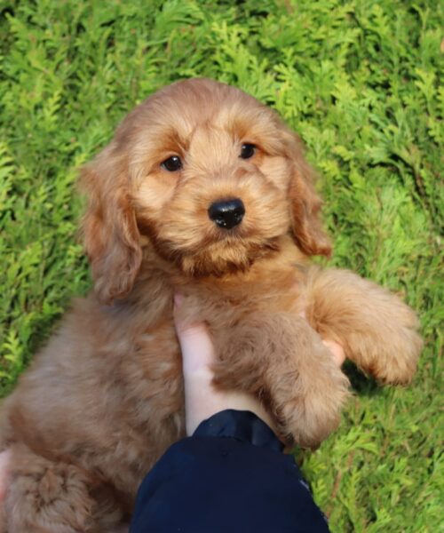 att.N-2z_wG-s11dbdg5GMUX8i_6fh7lk28INoV8oBNS5-k