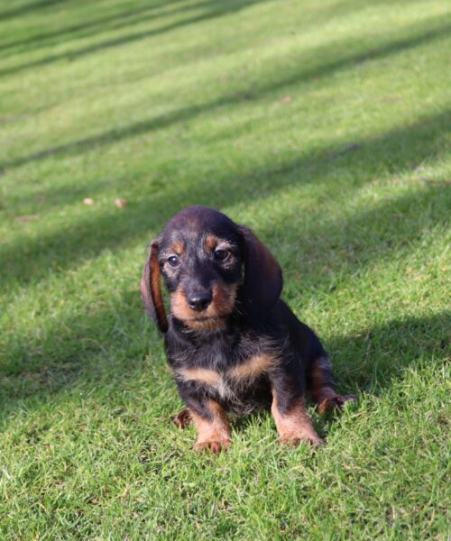 att.RooErF7HWDOH5yb-ACKKmLCiBDrnqVXNxas8WonhY68