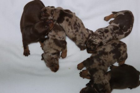 att.VaPpeg9J1Px7aB4VamqdVnUXPNs9f9iyzJAVp4OYFIg