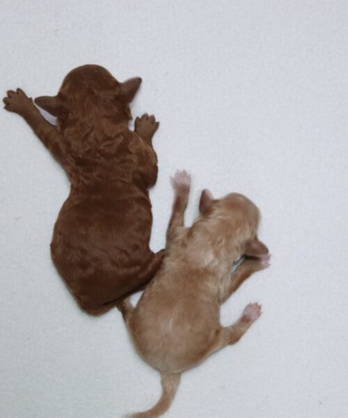 att.eOXxdnKzTCRlE00b-P0vIoIXO8d-y8PumrnkGWhErHY