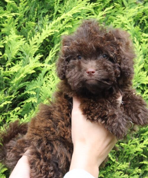 att.lOyyEGekVRSoBx5t9kosC-Ld4Py-F1uKEX-CDkSIBO8