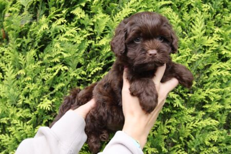 att.o-967OvAbBiksyw5LZw6TL7XUmBML8F4xhz4ve1h7mc