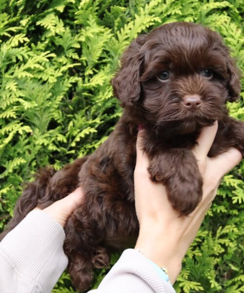 att.o-967OvAbBiksyw5LZw6TL7XUmBML8F4xhz4ve1h7mc