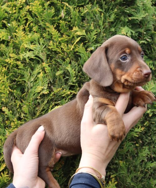 att.wityGoYF_j-fRQA__rInOoxSRPvXuiD5haozoOkFESM