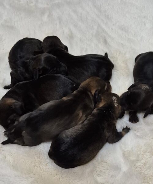 b43e103a-03c5-46a8-bcf6-e45d85f855d0